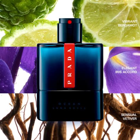 prada ocean notes|Prada ocean blue aftershave.